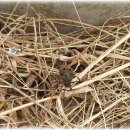 논두렁밭두렁 이미지