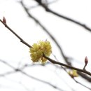 무등산,無等山 대종주 2구간(너릿재-잣고개)