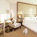 더 그랜드호텔 명동 이미지