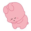솔라고 명동 네이버블로그