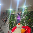 앰피플 | 건대입구 할로윈 파티룸 🎃 감성조명 속 단체파티" 퍼플피플 "