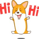 오렌지정육점 이미지