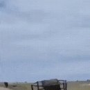 소 외양간 이미지