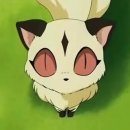 개뼈다구 이미지