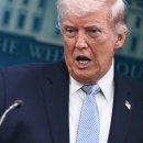 CW-1485-01 이미지