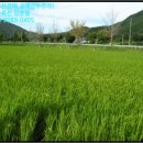 공주시유구읍추계보건진료소 이미지