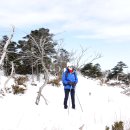 한라산백록담 이미지