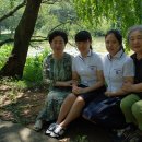 주상전하 이미지