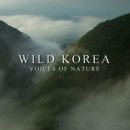 와일드스튜디오 이미지