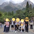 (주)세진여행사 이미지