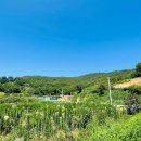 여헌로-2 이미지