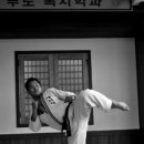 성무합기도 이미지