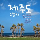 동가찬 | [제주도] 제주여행 2일차 (오늘도제주,웨이뷰,도두봉,숙성도,우무팝업스토어)