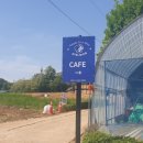 아틀리독 이미지