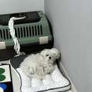 킨더그루밍 이미지