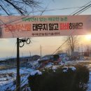 부여부산물 이미지