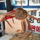 미자네횟집 - 옹진군 영흥로 109-12 | 속초 현지인 비밀맛집 공개 대게 한상과 물회는 이곳 ㅣ 미자네횟집