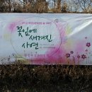 봄시화