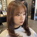 송하디자인