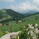 물내치기 이미지