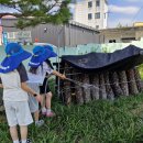 한내초 앞 이미지