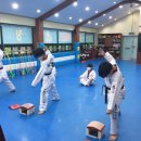 뉴 청홍태권도 이미지