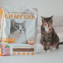 오 마이 캣 | 고양이 사료 추천, 가성비 건식 사료 브랜드 오마이캣