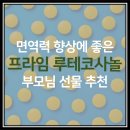 KPMALL | [건강보조식품 추천] 부모님선물로 제격인 프라임 루테코사놀, 루테인과 옥타코사놀의 조합!