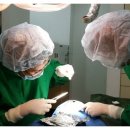 미주치과병원 이미지