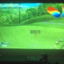 레몬스크린골프 이미지