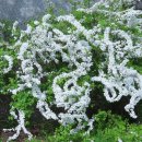 장충단공원 이미지