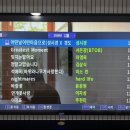 유람스테이 이미지