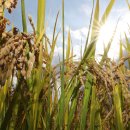 공공용 52 이미지