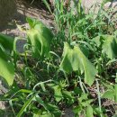 윤의열 농장 이미지