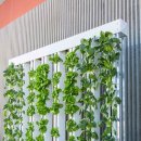 대안농장 이미지