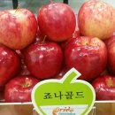 토요영농조합법인 이미지