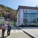 진산인삼