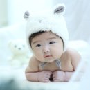 준우 티스토리