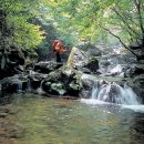 제128차 포천왕방산(시산제)산행안내 이미지