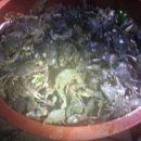 (주)포세이돈코리아 이미지