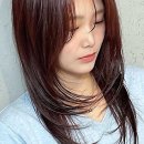 하니펫살롱(HONEYPETSALON) | 어느덧 계절이 바뀌는데, 머리에도 새 바람을 불어넣어볼까요?