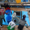 국도19호선 이미지