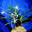 오늘의 포토뉴스(6/22) 이미지