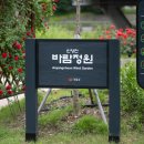 서울꽃명소 광명 안양천 장미축제, 유채꽃축제 햇살광장 &amp; 바람정원