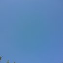 신안산대 이미지