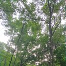 세종연합행정사사무소 이미지