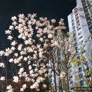 정리수납 전문가가 되자 이미지