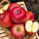 북안동농협 이미지