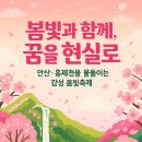 봄빛 이미지