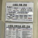 임동 무등경기장 | 광주 임동 수영장 (무등경기장 수영장) 방문 후기